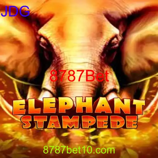 ElephantStampede